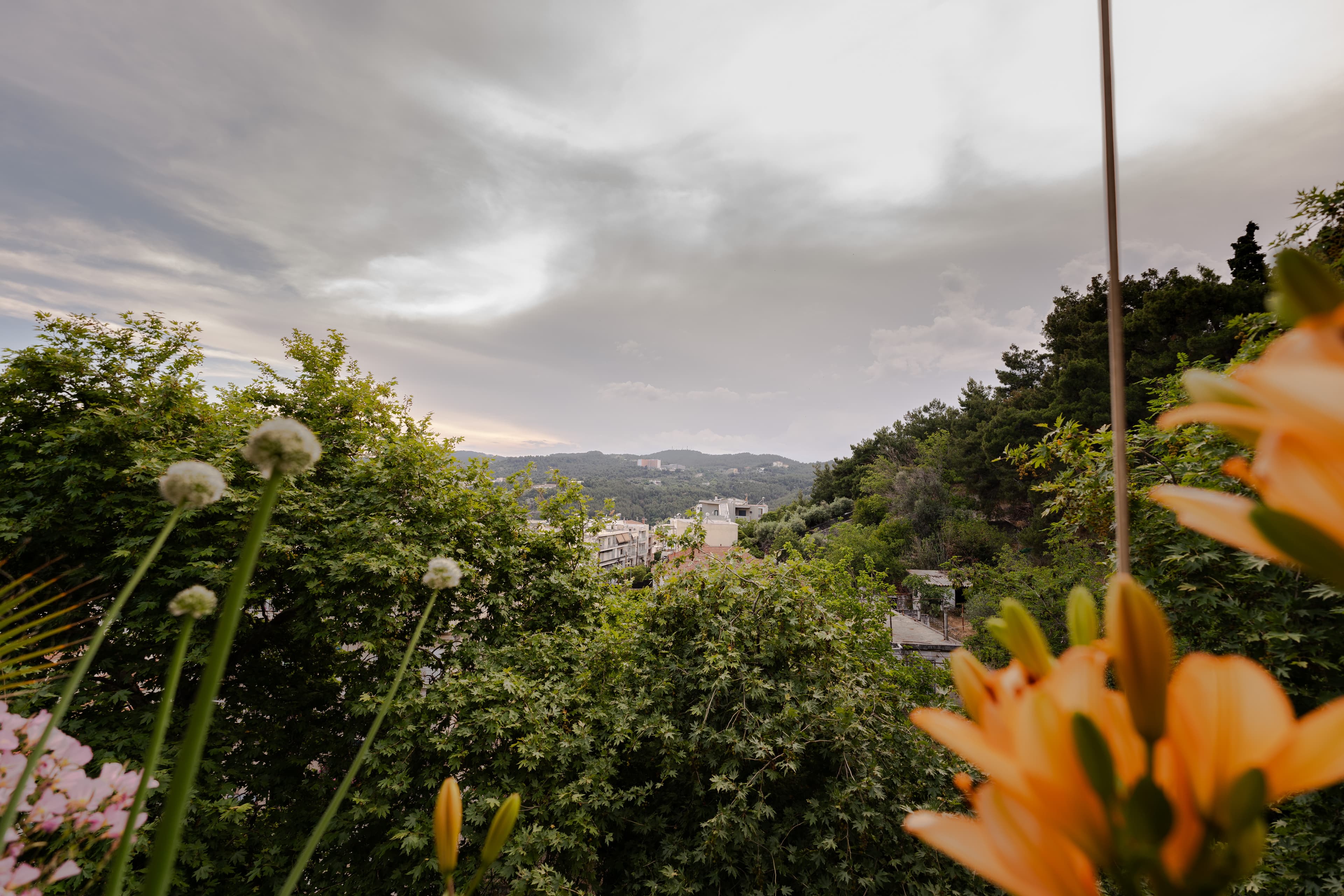 Two entrances & mountain access — 4